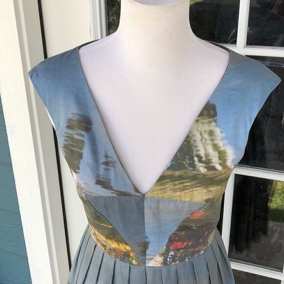 COPYâ-âTaylorâSwiftâDesigner!!!âCropâbyâDavid PeckâOrganicâCottonâDress - Picture 8 of 8